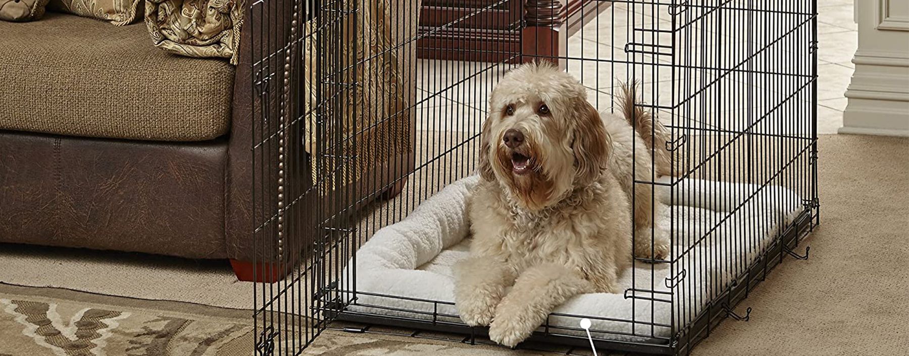 coloured dog crates